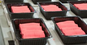 Implementing SQF Systems for Manufacture of Food Packaging (Edition 8)