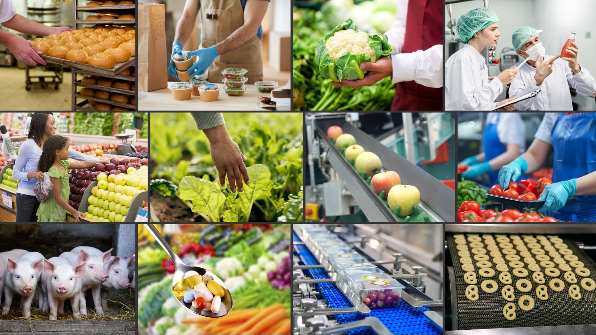 Food safety inspection facility