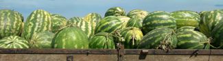 BRCGS Global Standard for Food Safety Issue 8 – Sites Training