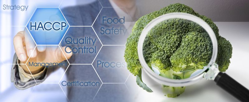 Food Safety Plans vs. HACCP: Choosing the Right System for Your Establishment