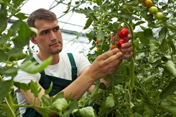 LEAF Marque Certification Program
